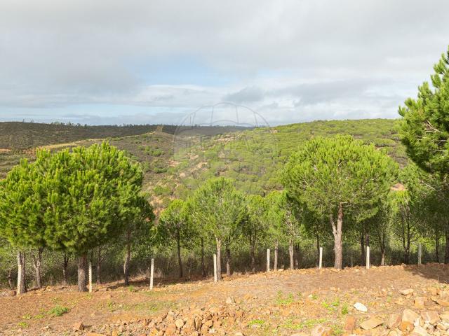 Solar venda em Lagos, Faro