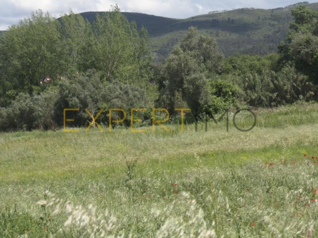 Commercial Land venda em Pombal, Carramanha
