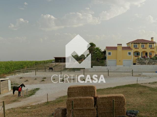 Commercial Land venda em Santarém