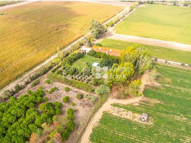 Solar venda em Almeirim, Santarém