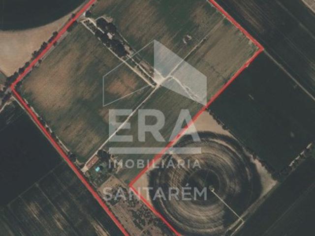 Commercial Land venda em Almeirim, Cortiçóis