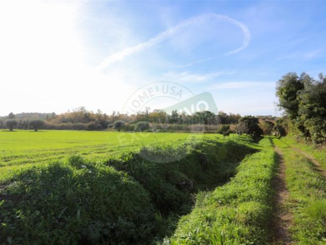Commercial Land venda em Condeixa-a-nova, Ega