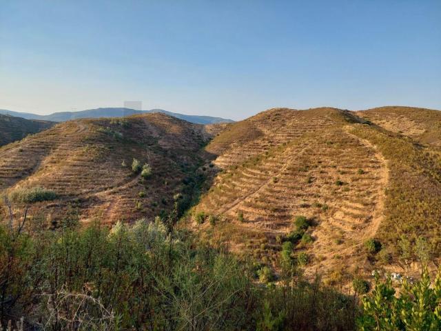 Solar venda em Silves, Faro