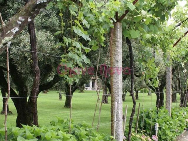 Solar venda em Coveiras, Viana Do Castelo