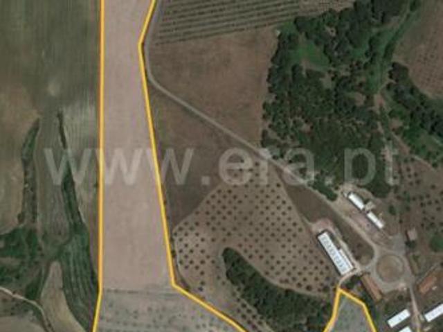 Commercial Land venda em Santarém