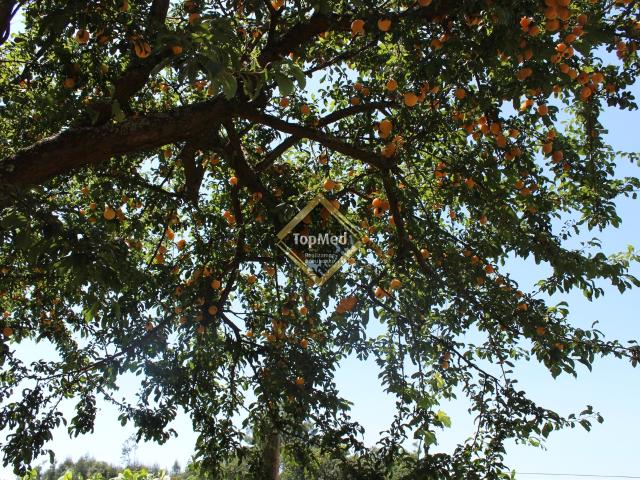 Solar venda em Bolás, Santo Tirso