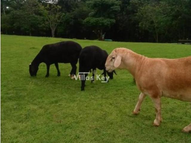 Solar venda em Albernoa e Trindade, Beja