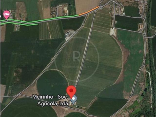 Commercial Land venda em Golegã, Casal Féteira