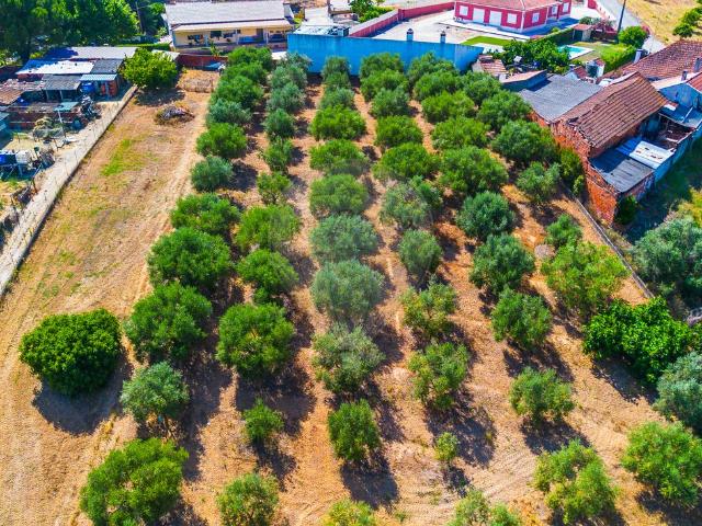 Solar venda em Santarém