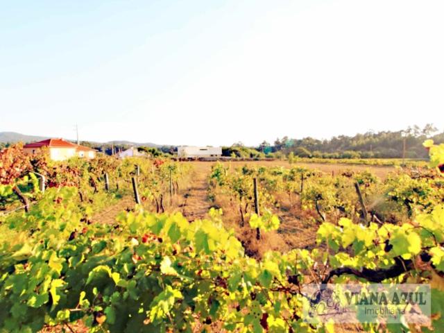 Solar venda em Viana Do Castelo