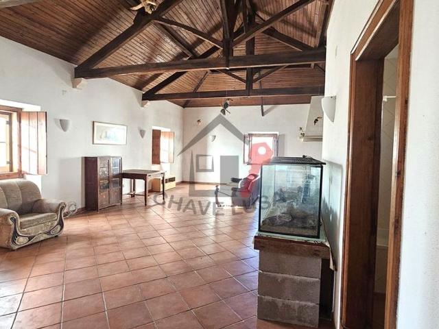 Commercial Land venda em Chamusca
