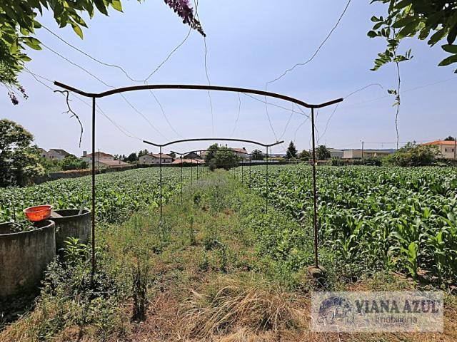 Solar venda em Romé, Viana Do Castelo