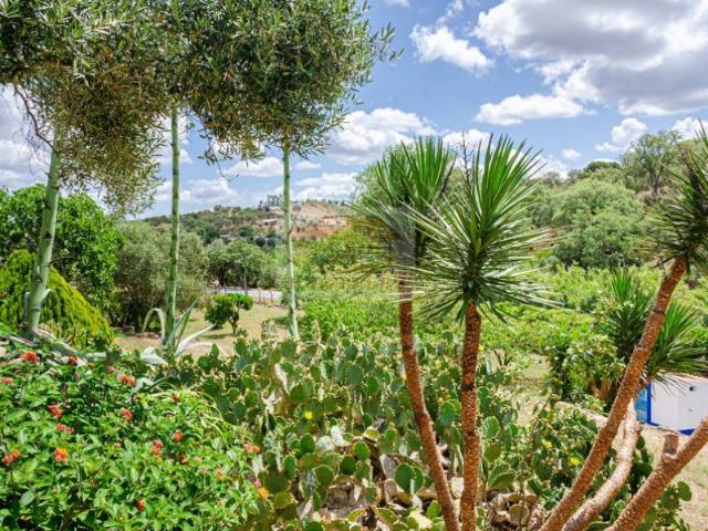 Commercial Land venda em Grândola