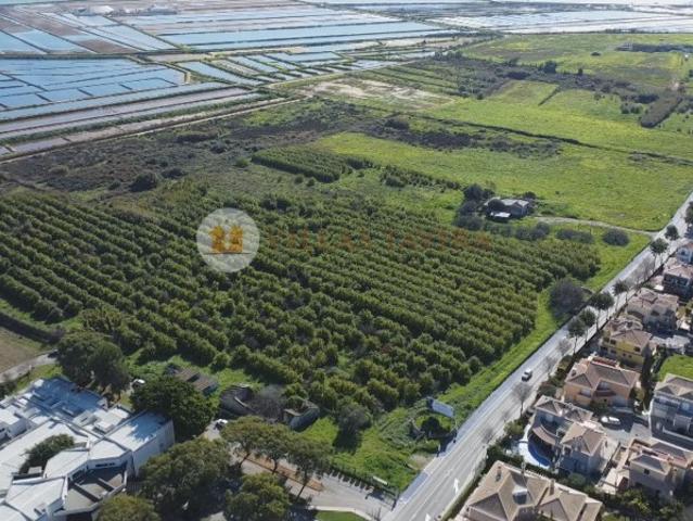 Commercial Land venda em Tavira, Portela da Corcha