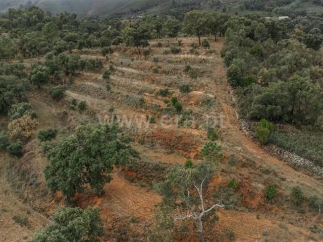 Solar venda em Castelo Branco, Aldeia Nova Do Cabo