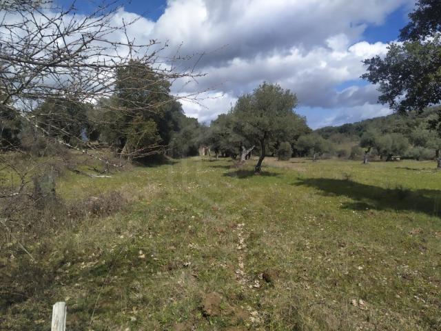 Solar venda em Castelo Branco, Aldeia Nova Do Cabo