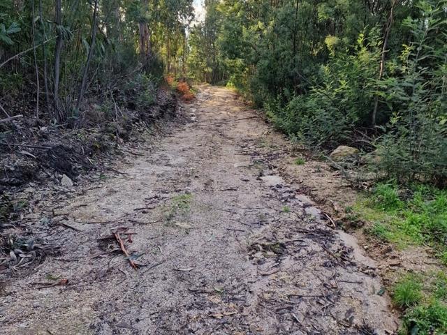Solar venda em Várzea da Ovelha, Várzea Ovelha E Aliviada