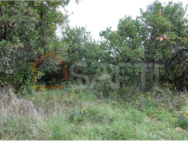 Commercial Land venda em Pombal, Lameiros