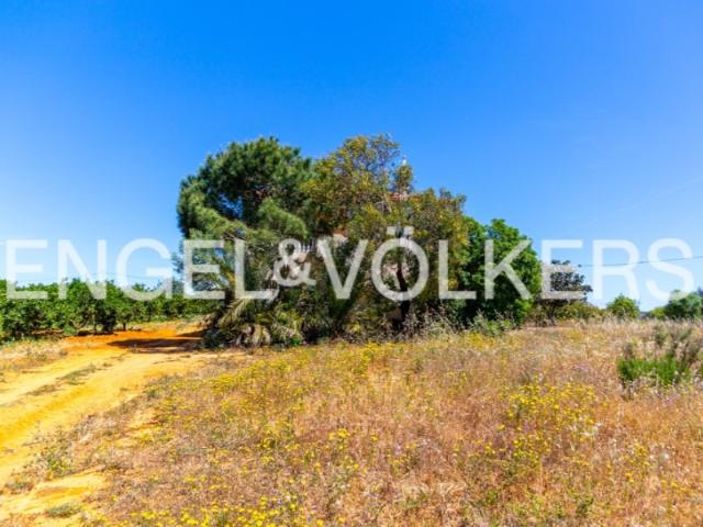 Solar venda em Ribeira do Junco, Vila Real De Santo António