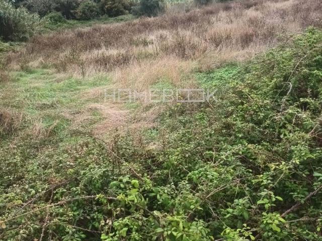 Terreno venda em Peroleite, Sintra