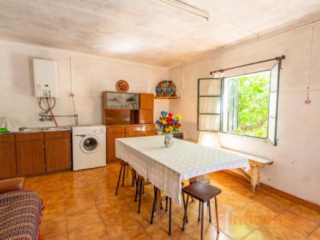 Quinta venda em Castelo Branco, Aldeia Nova Do Cabo