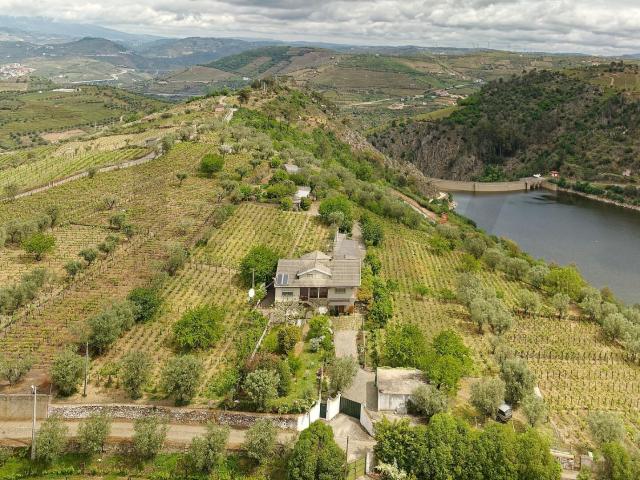 Quinta venda em Lamego, Viseu