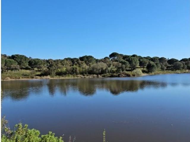 Casa venda em Coruche, Santarém