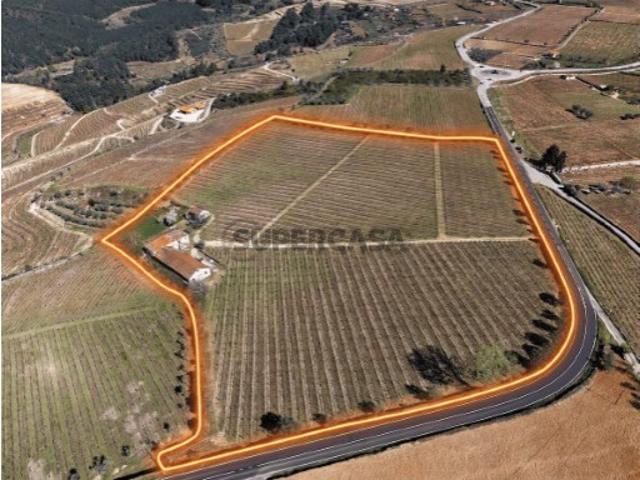 Casa venda em Mondego, Alijó
