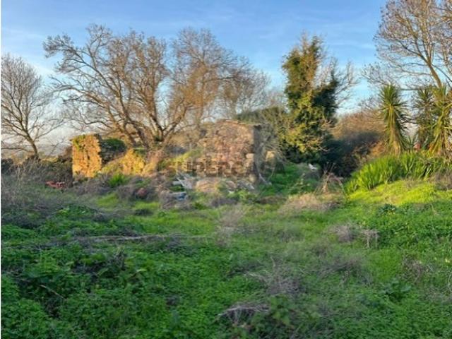 Casa venda em Arruda Dos Vinhos, Lisboa