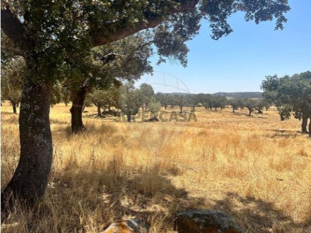 Casa venda em Arraiolos, Évora