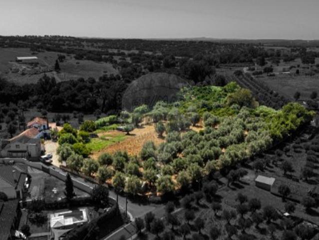 Casa venda em São Brissos, Montemor-o-novo
