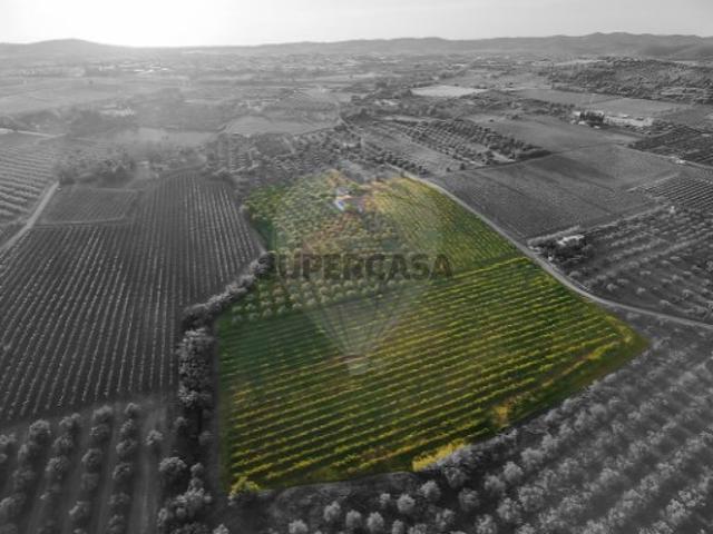 Casa venda em Vidigueira, Beja