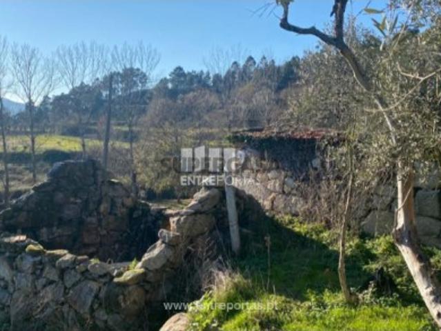 Casa venda em Marco De Canaveses, Pala