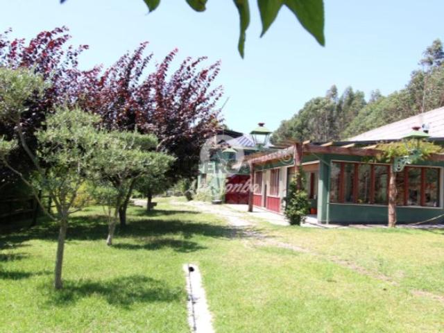 Casa venda em Beleco de Além, Gavião