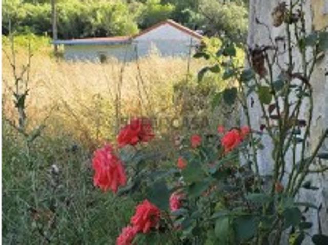 Casa venda em Pinheiro, Sobral de Monte Agraço