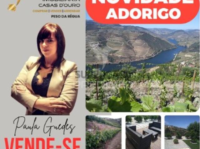 Casa venda em Viseu
