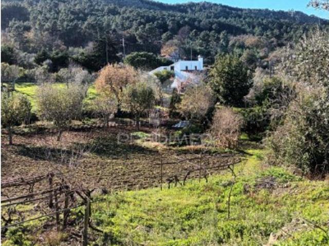 Casa venda em Castelo De Vide, Portalegre