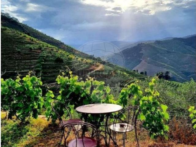 Casa venda em Nagoselo Do Douro, Viseu