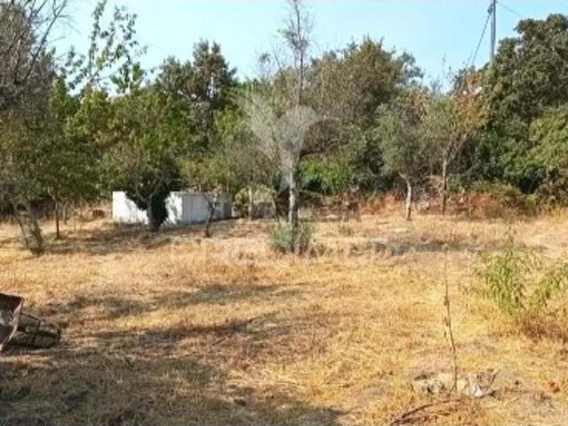 Casa venda em Portalegre