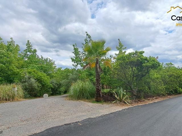 Quinta venda em Castelo Branco, Cumeada