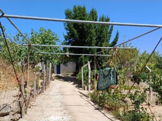 Casa venda em Castelo Branco