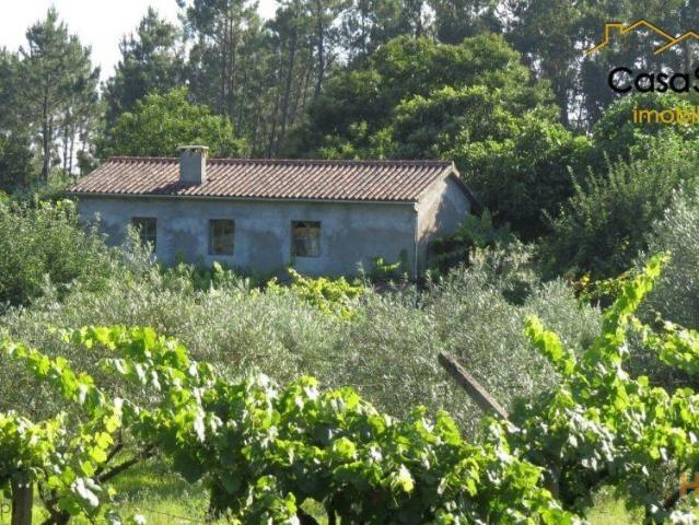 Quinta venda em Castelo Branco, Cumeada