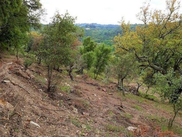 Quinta venda em Nisa, Portalegre