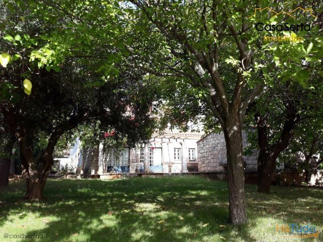 Quinta venda em Castelo Branco