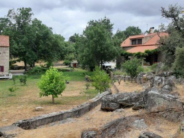 Quinta venda em Castelo Branco