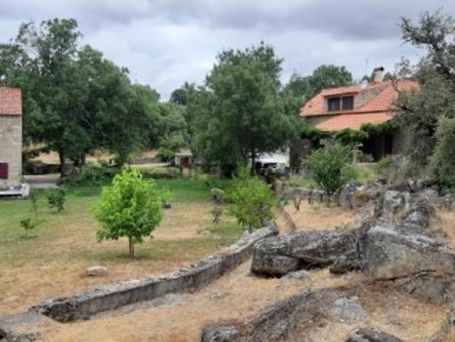 Casa venda em Castelo Branco