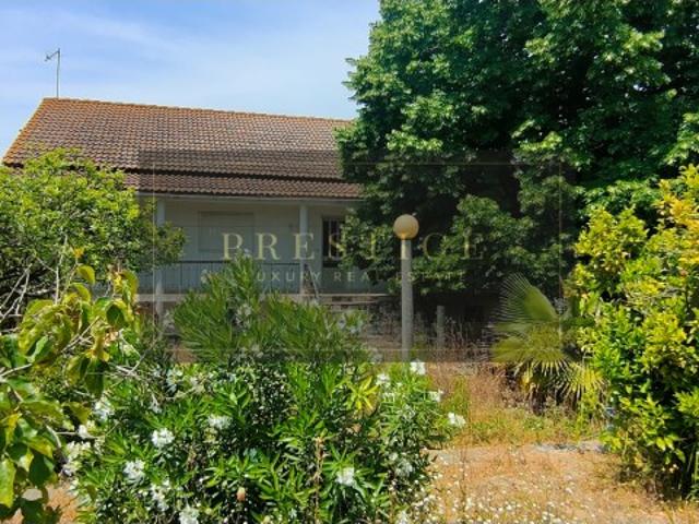 Quinta venda em Salvaterra De Magos, Santarém