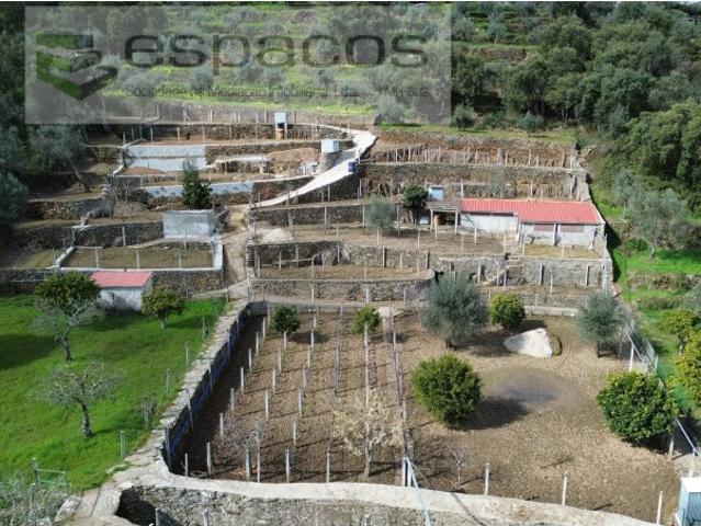 Quinta venda em Castelo Branco