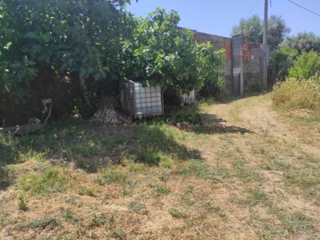 Casa venda em Castelo Branco