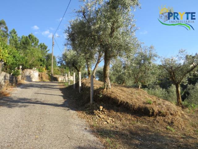 Quinta venda em Castelo Branco, Cumeada